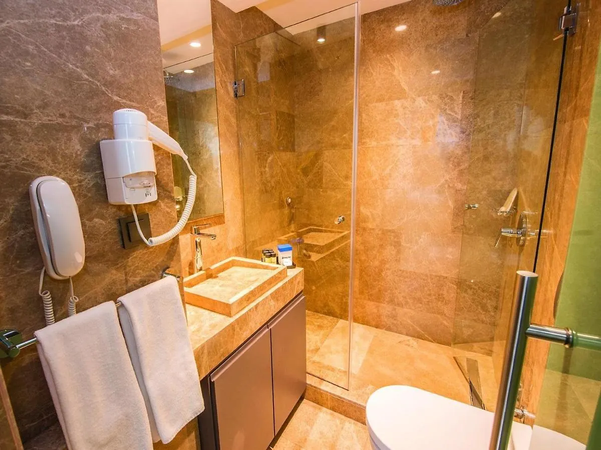 ****  The Way Hotel 伊斯坦布尔 土耳其